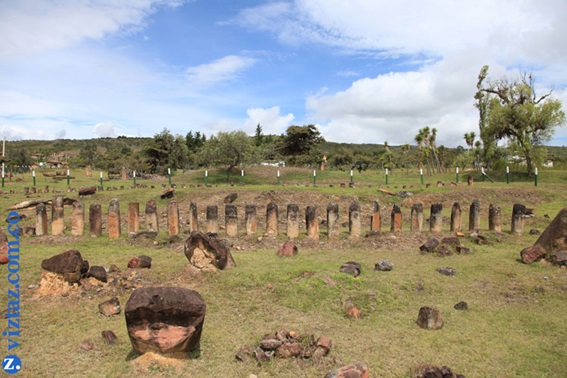 leyvaaum